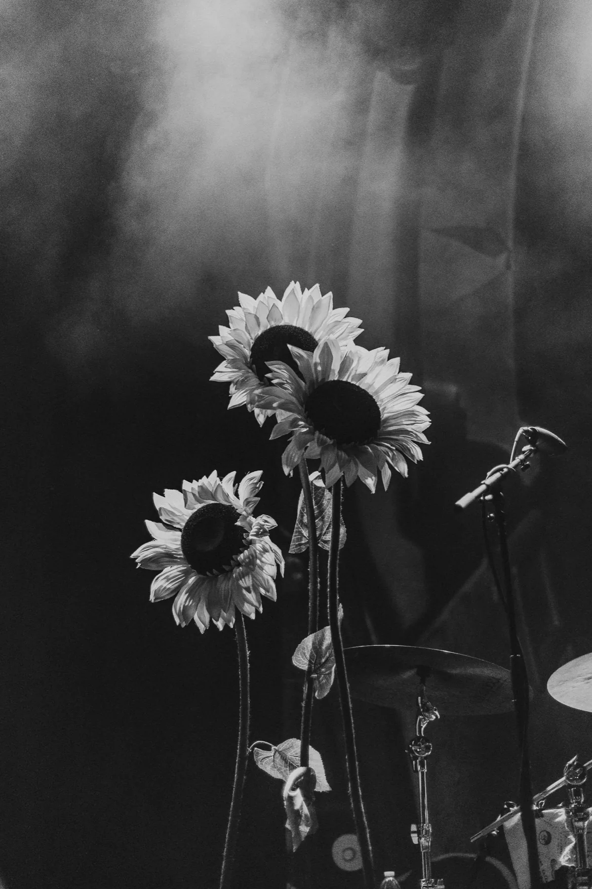 Concert and live music photography by Miles Sheppard, Chicago