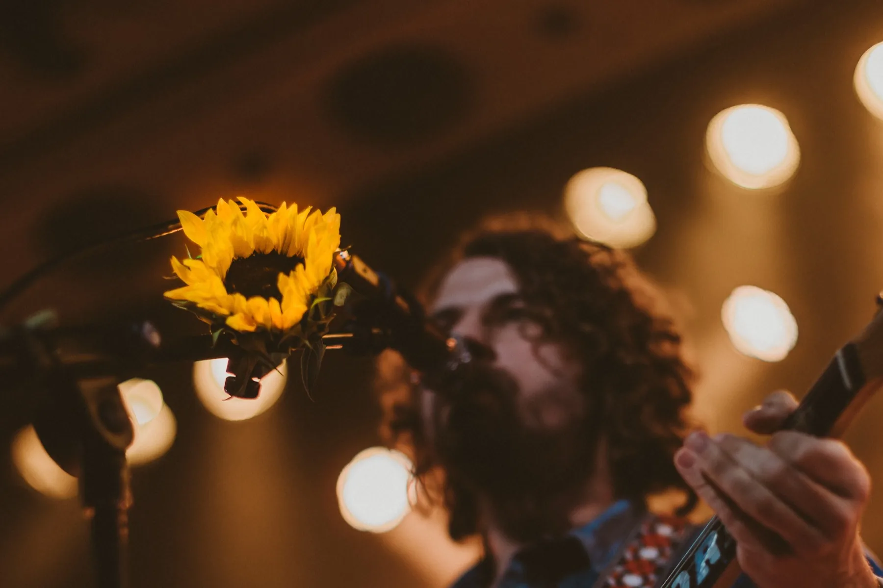 Concert and live music photography by Miles Sheppard, Chicago